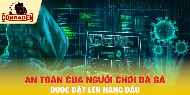 An toàn của người chơi đá gà được đặt lên hàng đầu