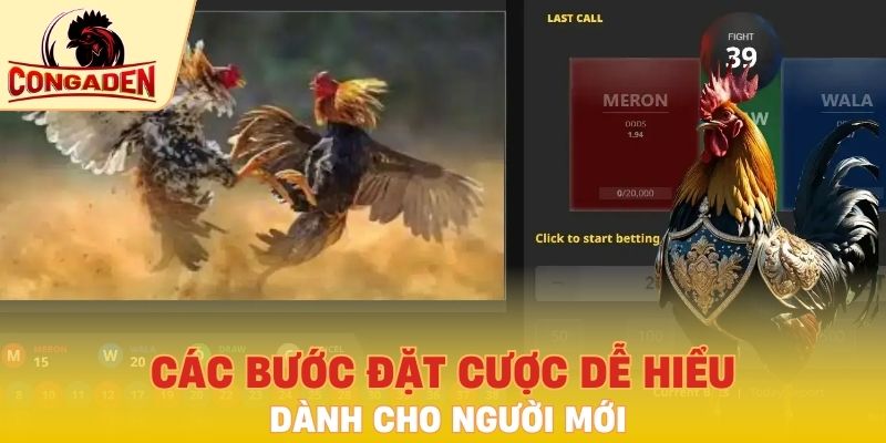 Các bước đặt cược dễ hiểu dành cho người mới