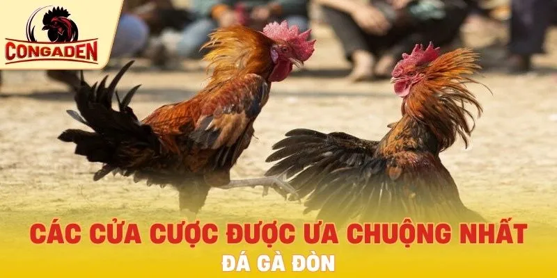 Các cửa cược được ưa chuộng nhất