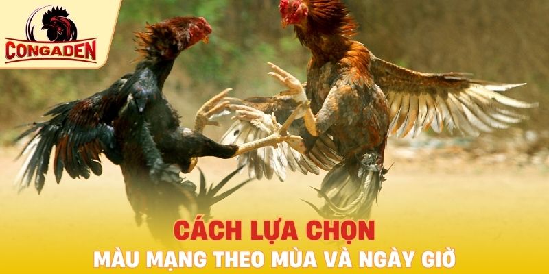 Cách lựa chọn màu mạng theo mùa và ngày giờ