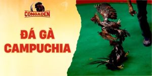 đá gà Campuchia