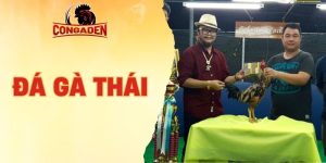 đá gà Thái