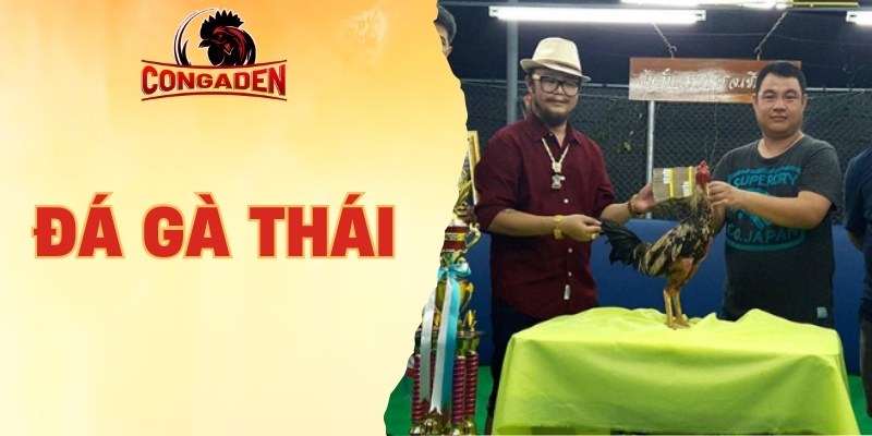 đá gà Thái