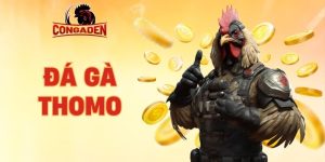 Đá gà Thomo