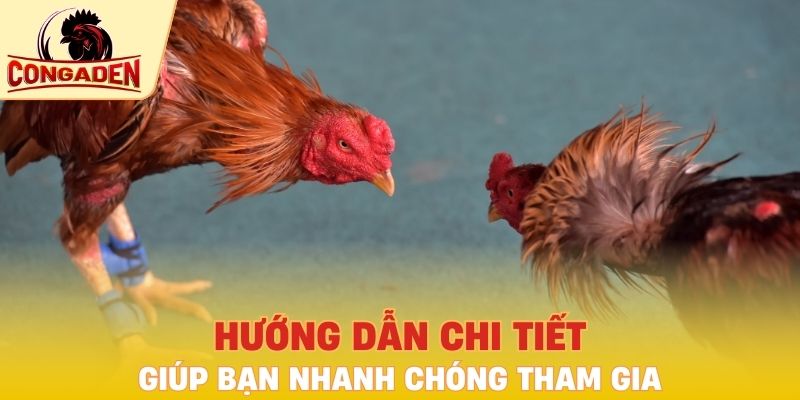 Hướng dẫn chi tiết giúp bạn nhanh chóng tham gia