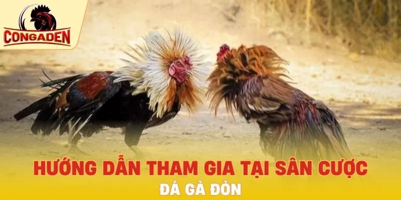 Hướng dẫn tham gia tại sân cược