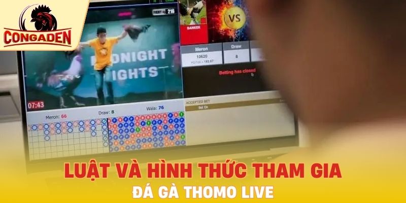 Luật và hình thức tham gia đá gà Thomo live
