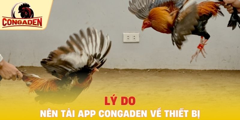 Lý do nên tải app Congaden về thiết bị