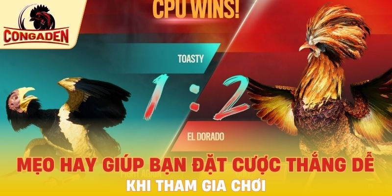 Mẹo hay giúp bạn đặt cược thắng dễ khi tham gia
