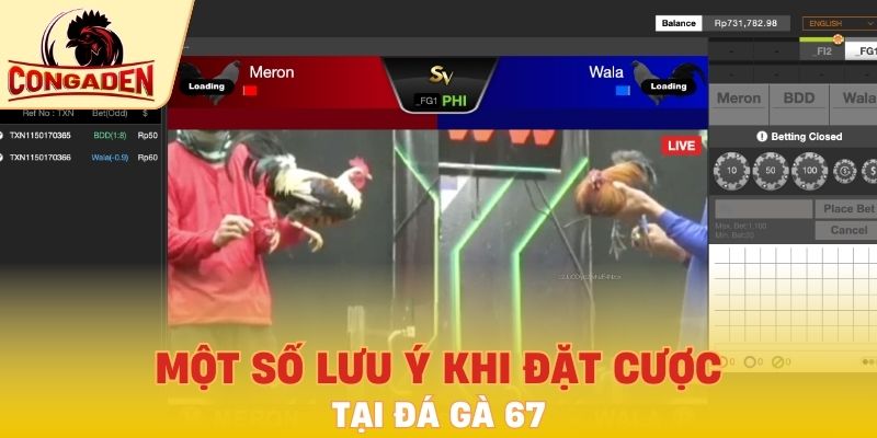 Một số lưu ý khi đặt cược tại đá gà 67