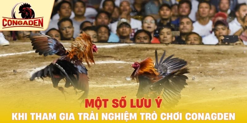 Một số lưu ý khi tham gia trải nghiệm trò chơi Congaden