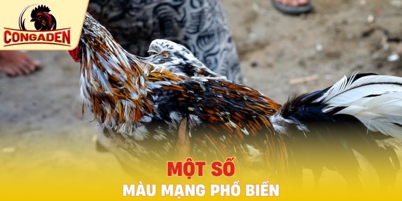 Một số màu mạng phổ biến