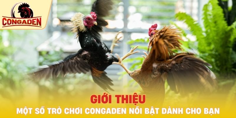 Một số trò chơi Congaden nổi bật dành cho bạn