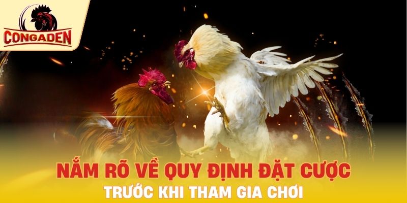 Nắm rõ về quy định đặt cược trong trận đấu
