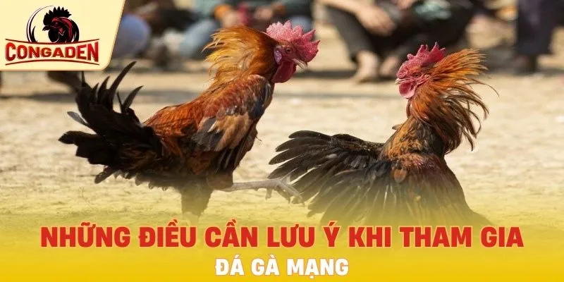 Những điều cần lưu ý khi tham gia