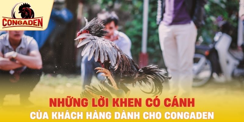 Những lời khen có cánh của khách hàng dành cho Congaden