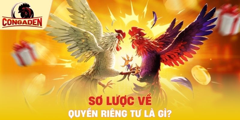 Quyền riêng tư là gì?