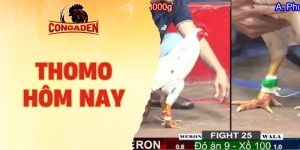 Thomo hôm nay