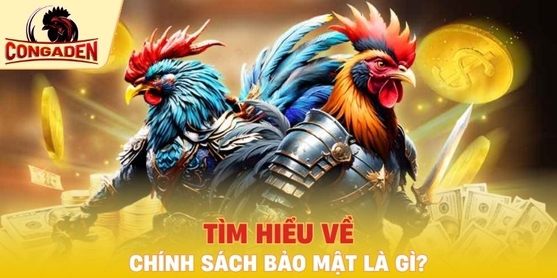 Giới thiệu chính sách bảo mật của Congaden