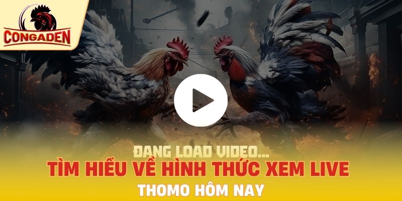 Tìm hiểu về hình thức xem live Thomo hôm nay