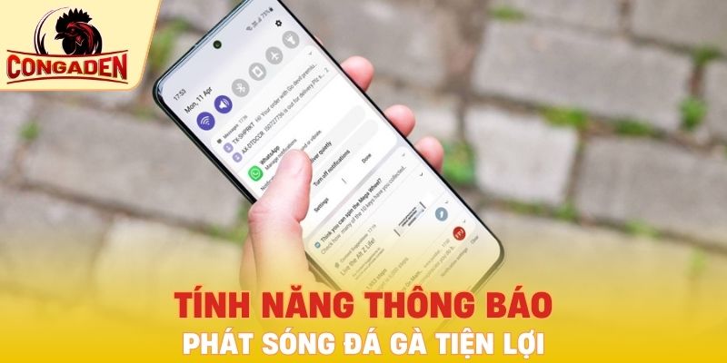 Tính năng thông báo phát sóng đá gà tiện lợi