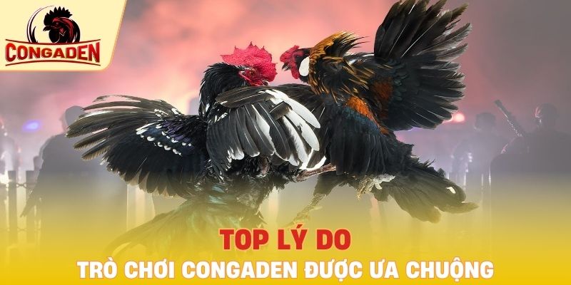 Top lý do trò chơi Congaden được ưa chuộng