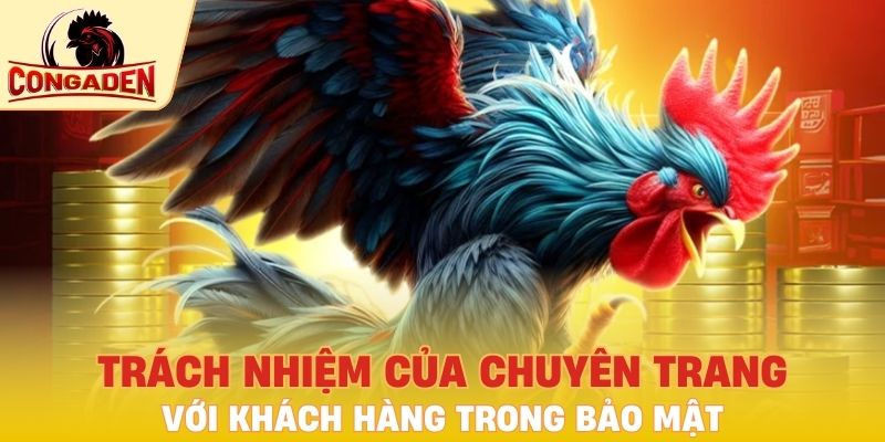 Trách nhiệm của chuyên trang & khách hàng trong bảo mật