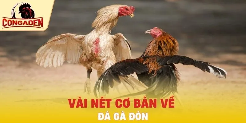 Vài nét cơ bản về đá gà đòn